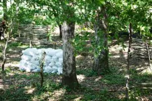 foret paintball